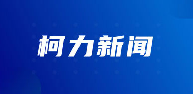 25年7月13日·16日